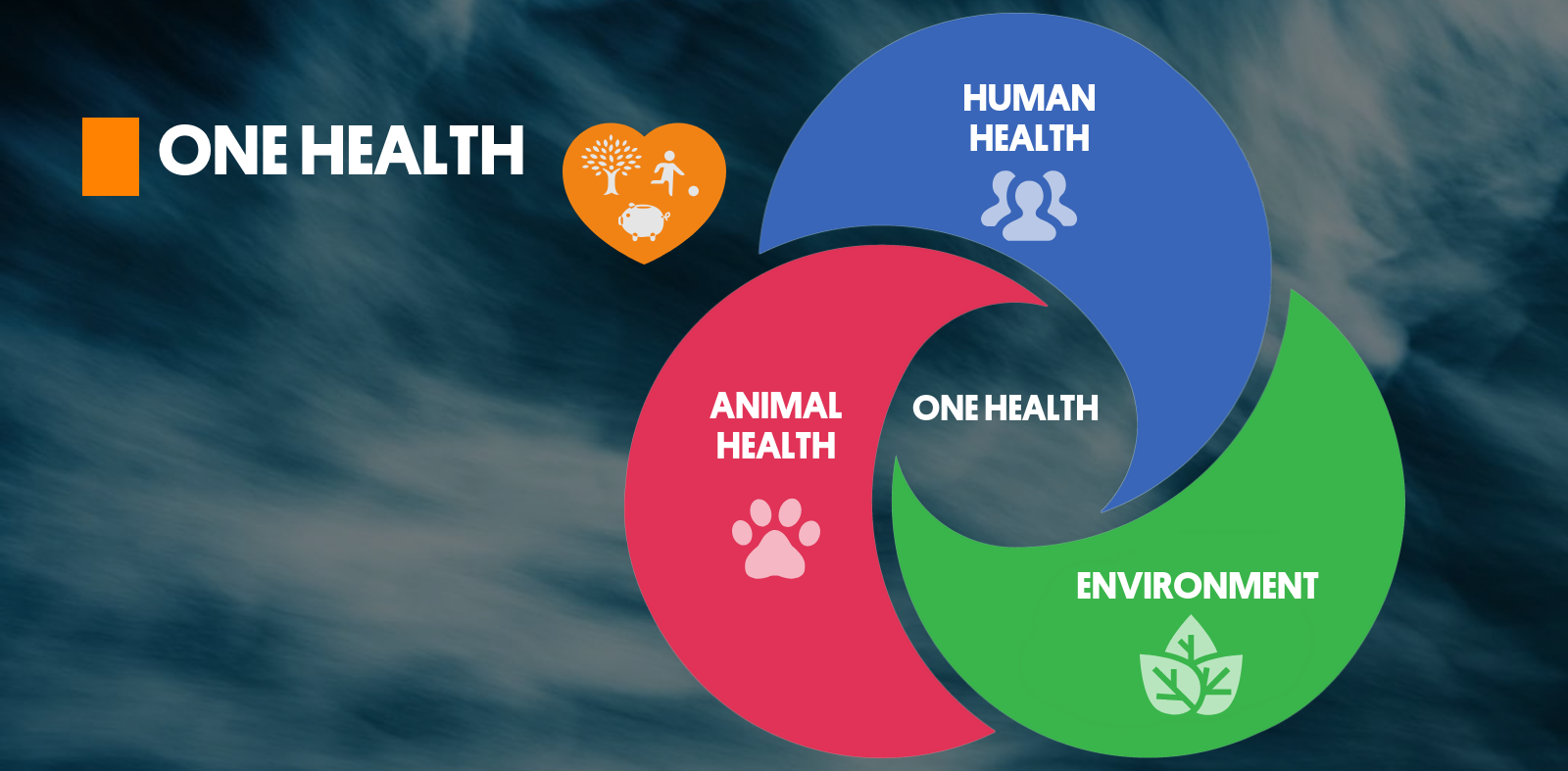health